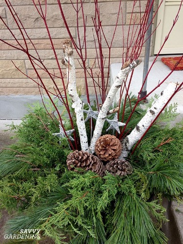 winter-container-garden-colourful-sticks.jpg